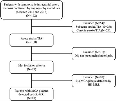 Plaque Wall Distribution Pattern of the Atherosclerotic Middle Cerebral Artery Associates With the Circle of Willis Completeness